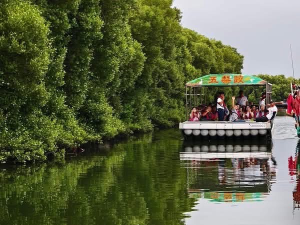 【鯤鯓海味小旅行】四鯤鯓紅樹林遊船&海洋再生DIY手作 (要點beclass報名):圖片 2